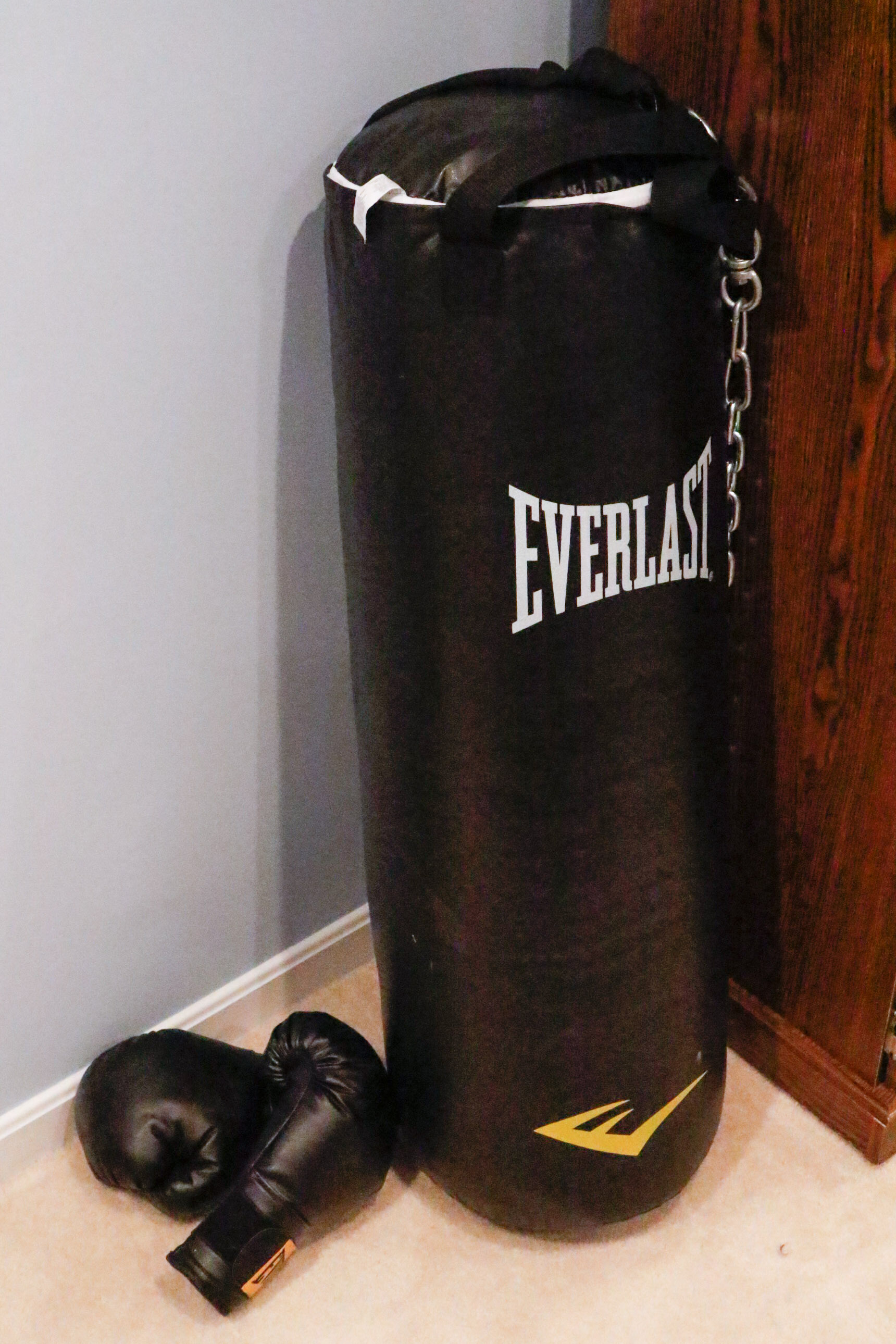 Everlast Nevatear 100 LB. Heavy Bag and Gloves