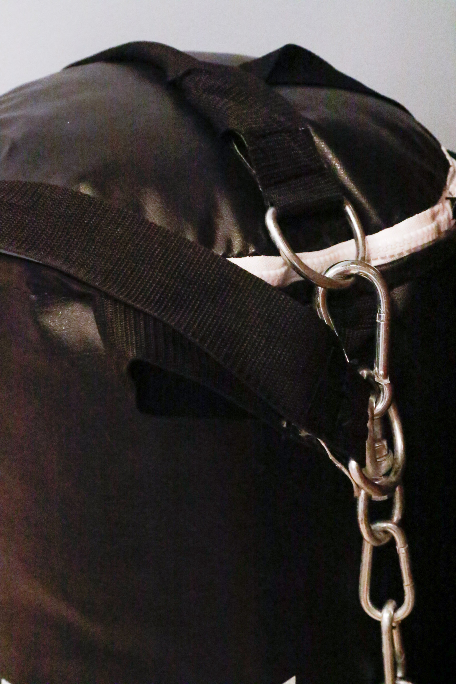 Everlast Nevatear 100 LB. Heavy Bag and Gloves