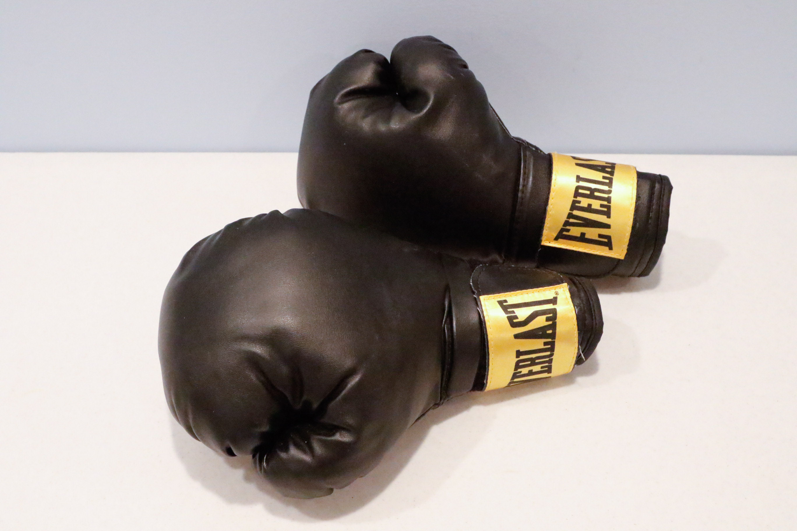 Everlast Nevatear 100 LB. Heavy Bag and Gloves