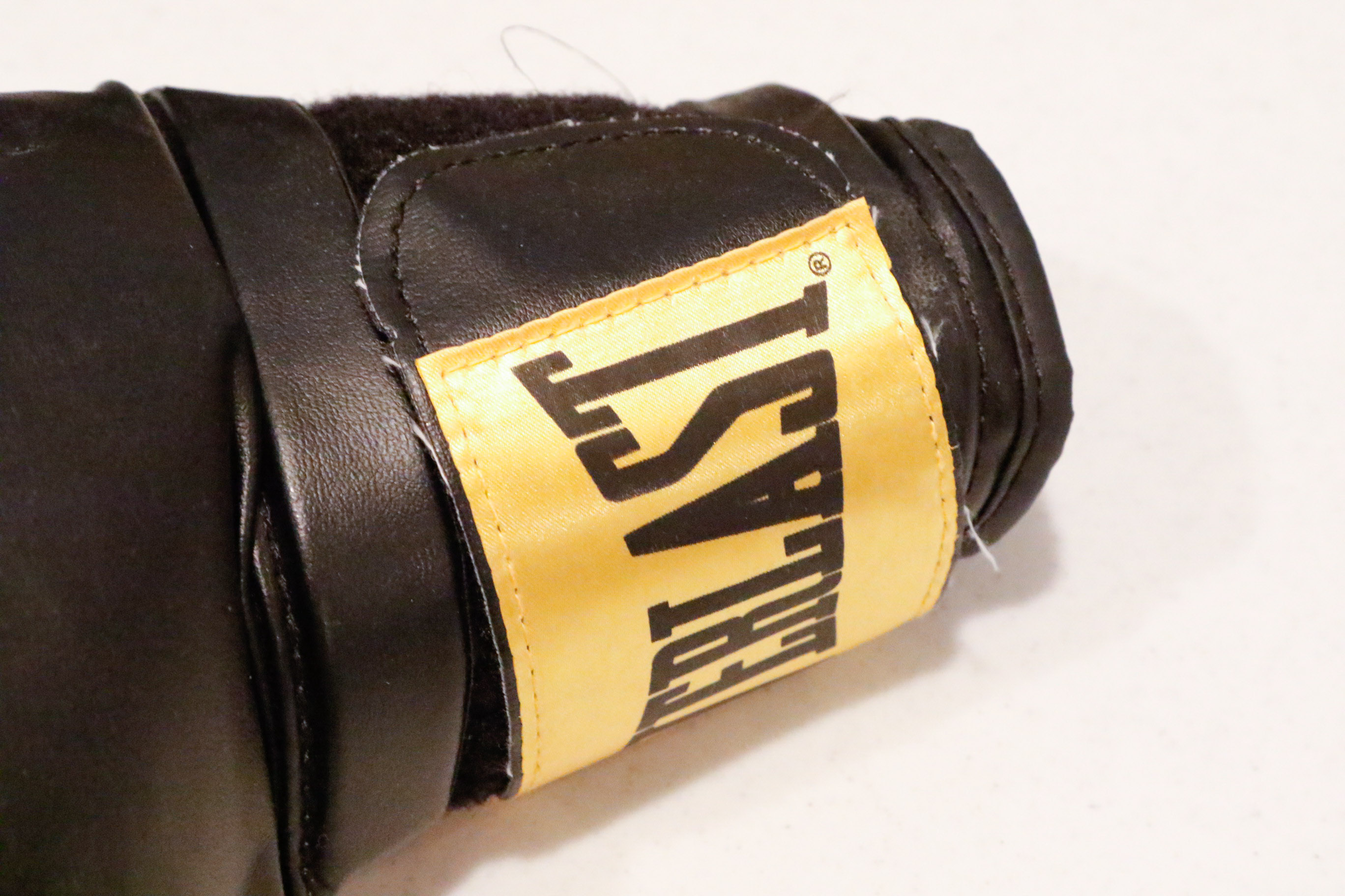 Everlast Nevatear 100 LB. Heavy Bag and Gloves