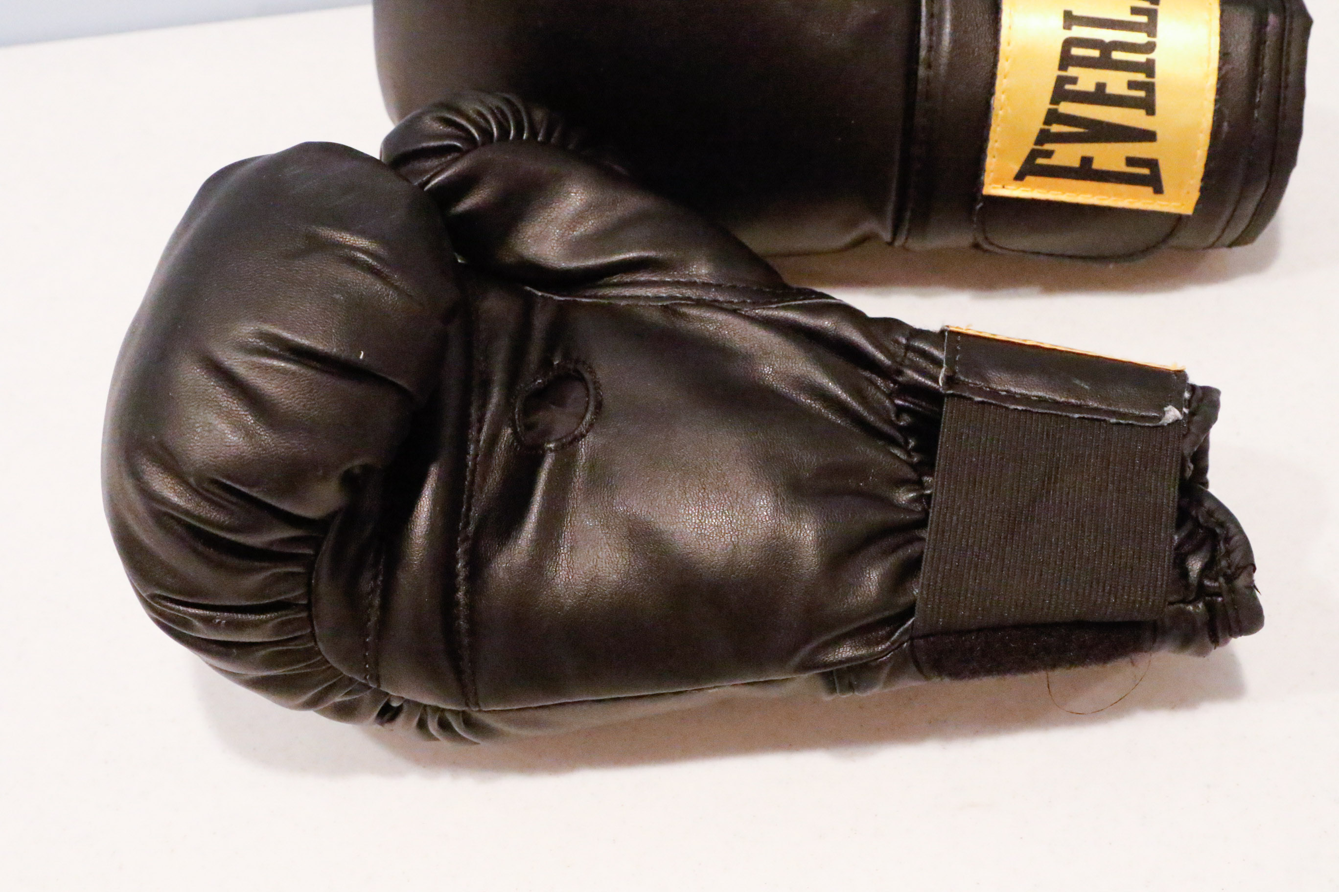 Everlast Nevatear 100 LB. Heavy Bag and Gloves