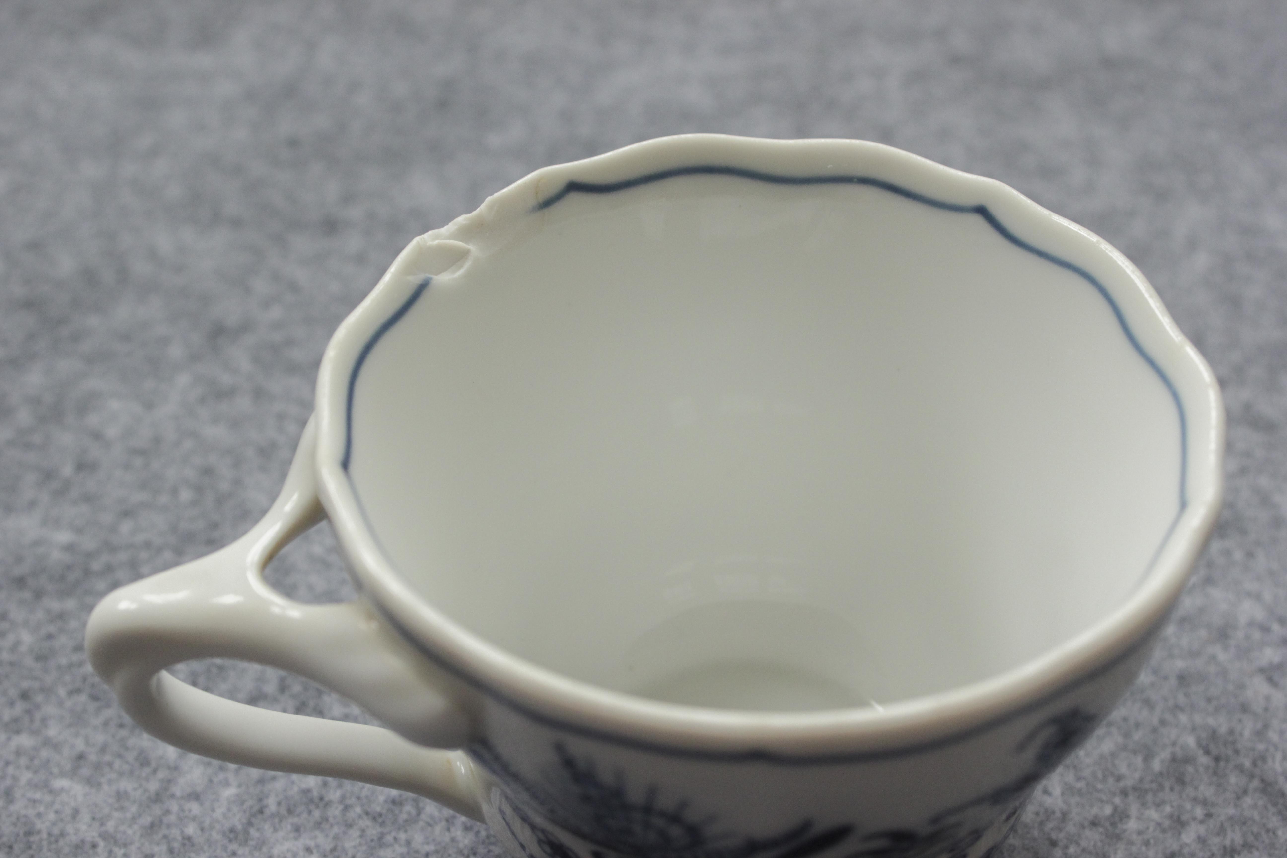 Set of Blue Danube Blue Onion China