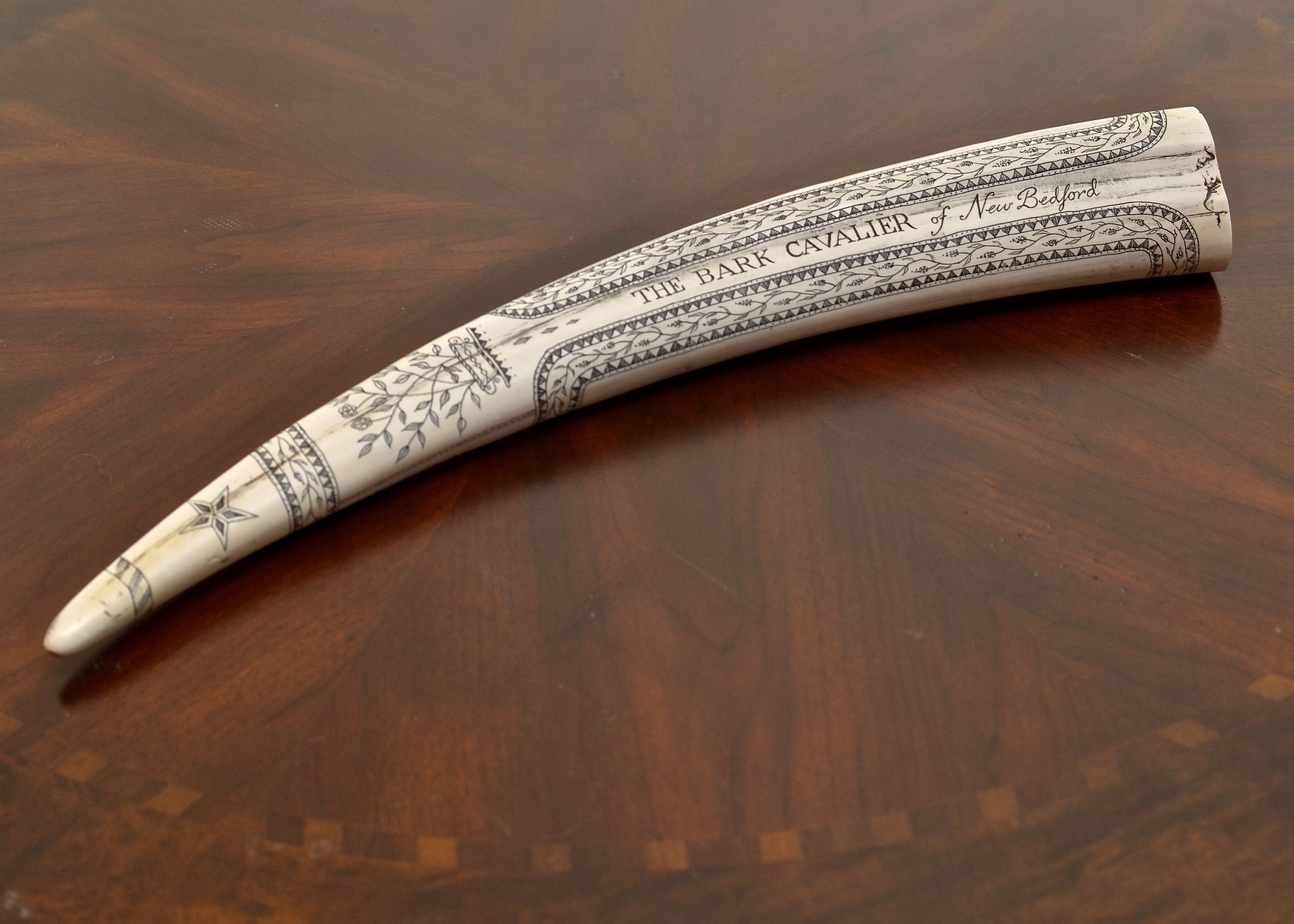 Resin Replica of a Scrimshaw Walrus Tusk