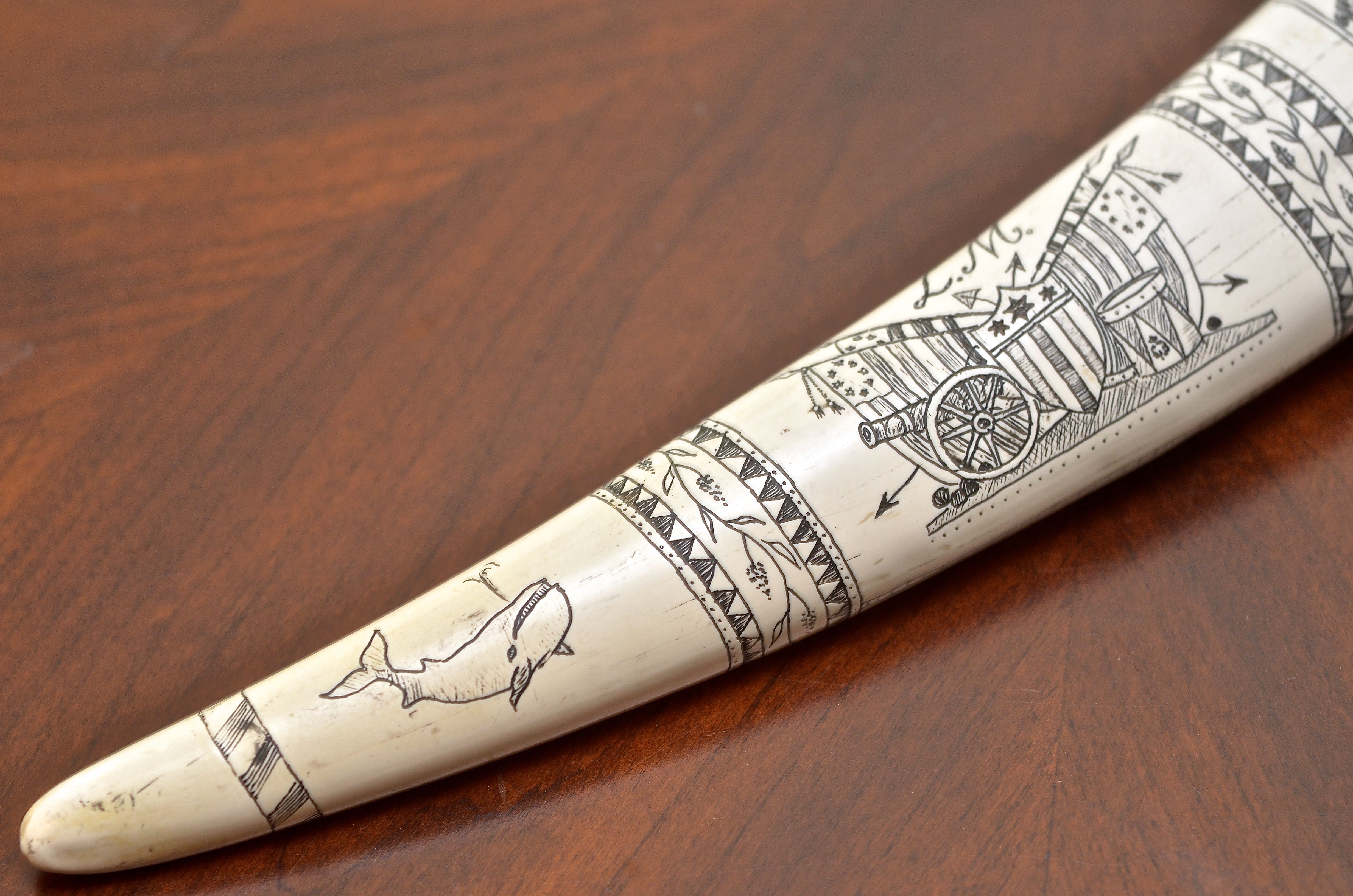 Resin Replica of a Scrimshaw Walrus Tusk
