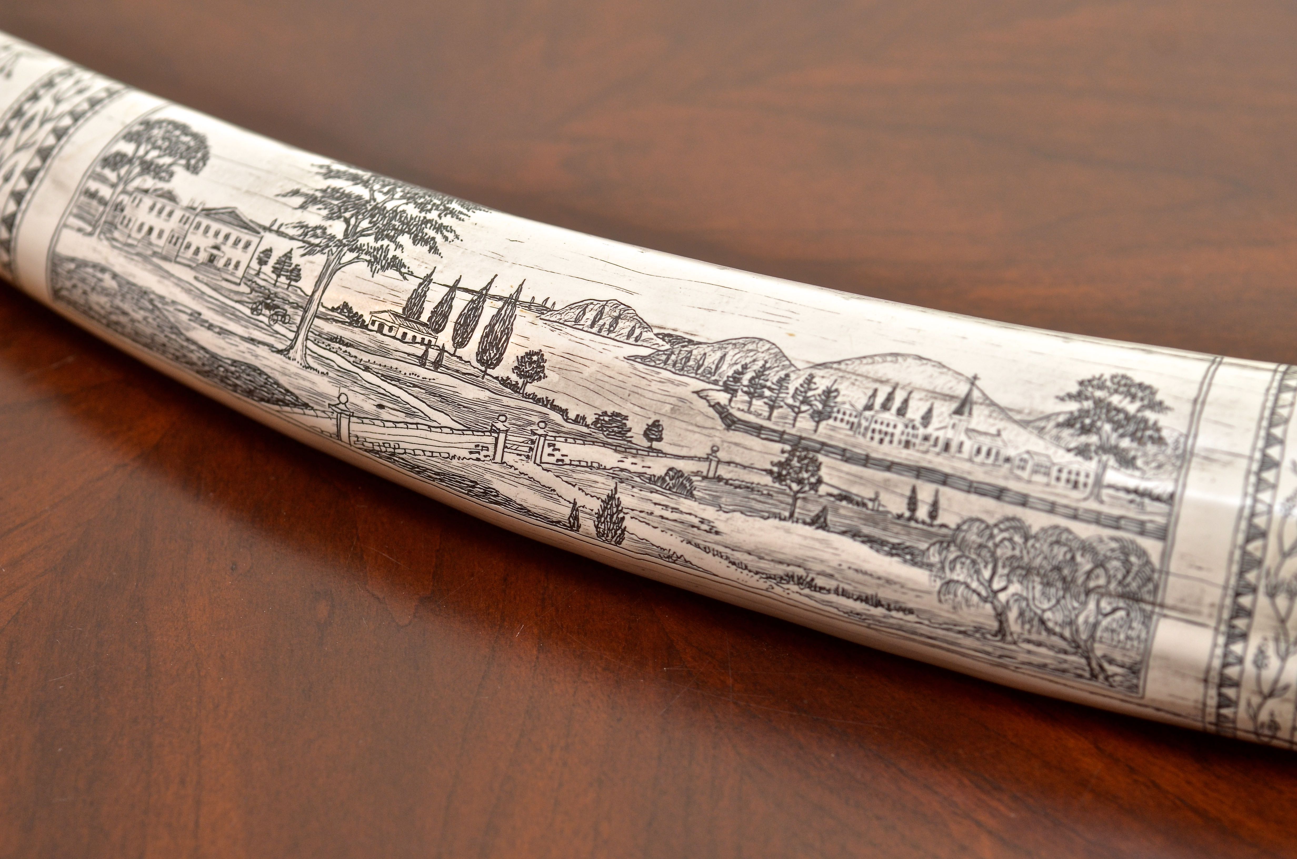 Resin Replica of a Scrimshaw Walrus Tusk