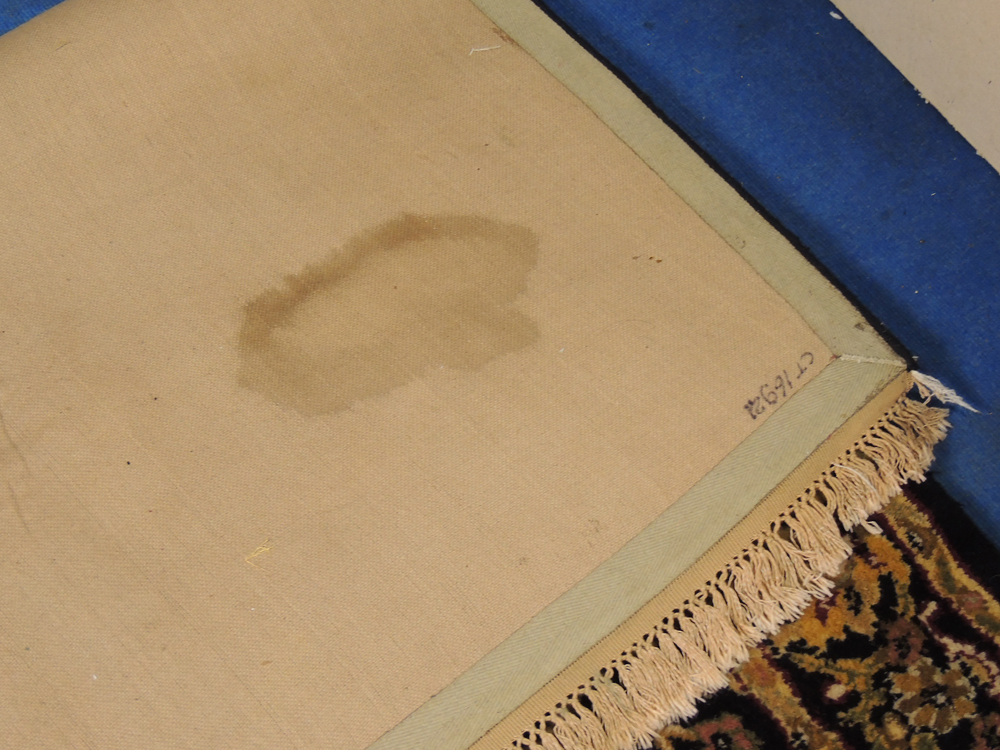 Persian Style Miresco Wool Rug