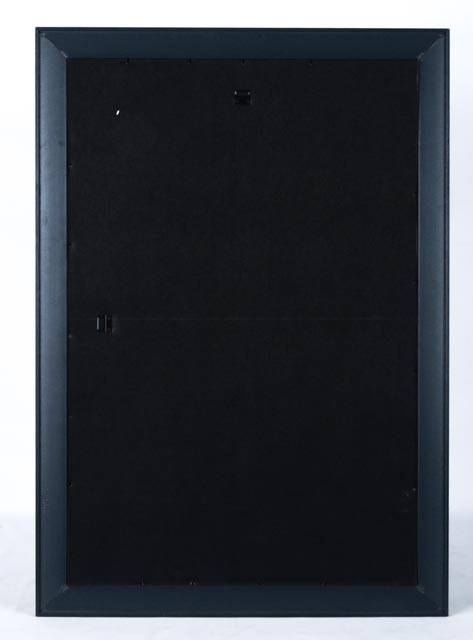 Bobby Tolan 1972 Poster