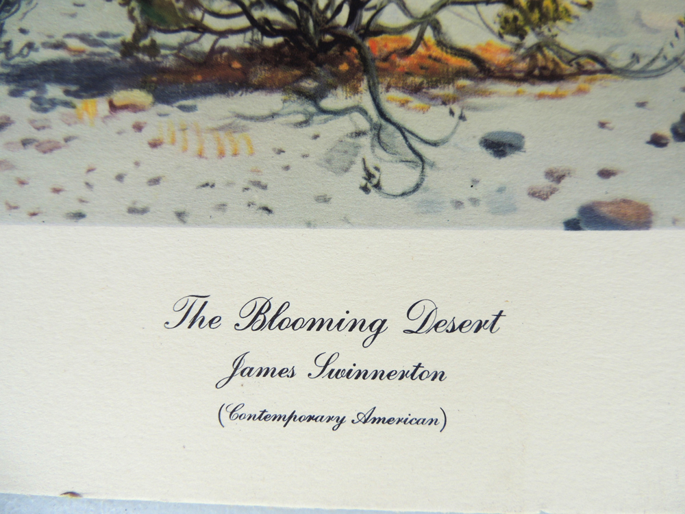 Desert and Ocean Unframed Lithograph Collection