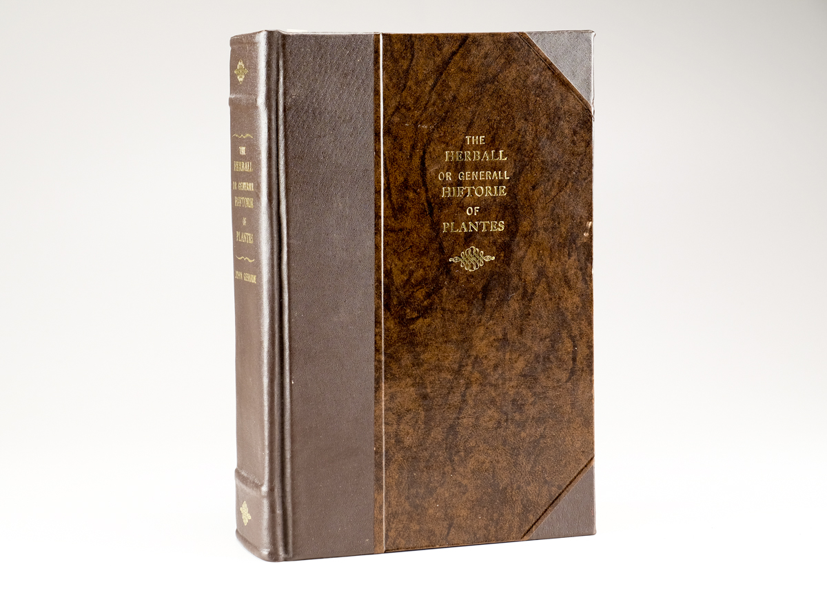 1633 "The Herball or Generall Historie of Plantes" by John Gerard