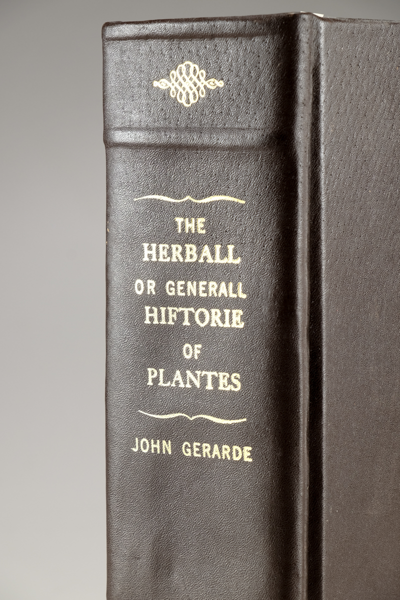 1633 "The Herball or Generall Historie of Plantes" by John Gerard