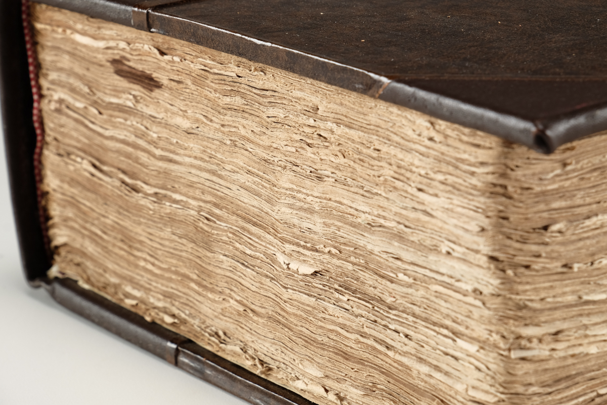 1633 "The Herball or Generall Historie of Plantes" by John Gerard