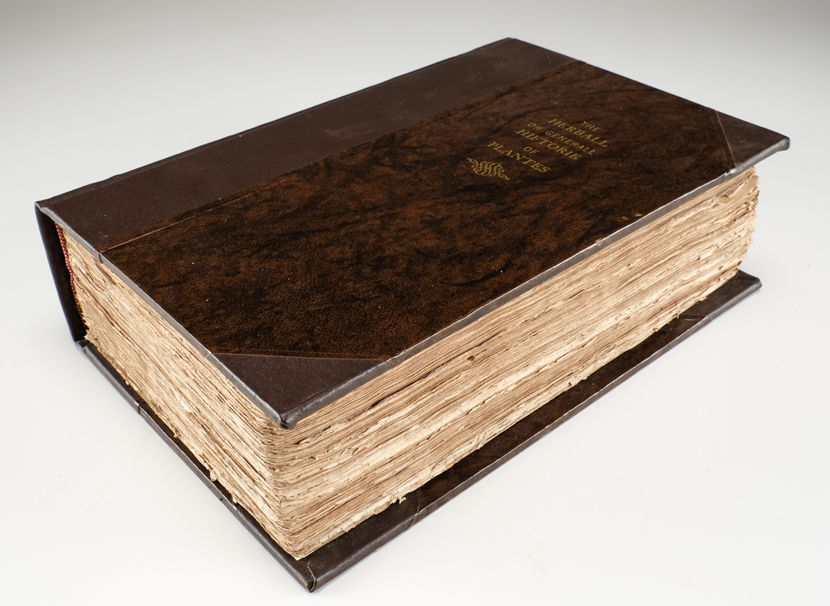 1633 "The Herball or Generall Historie of Plantes" by John Gerard