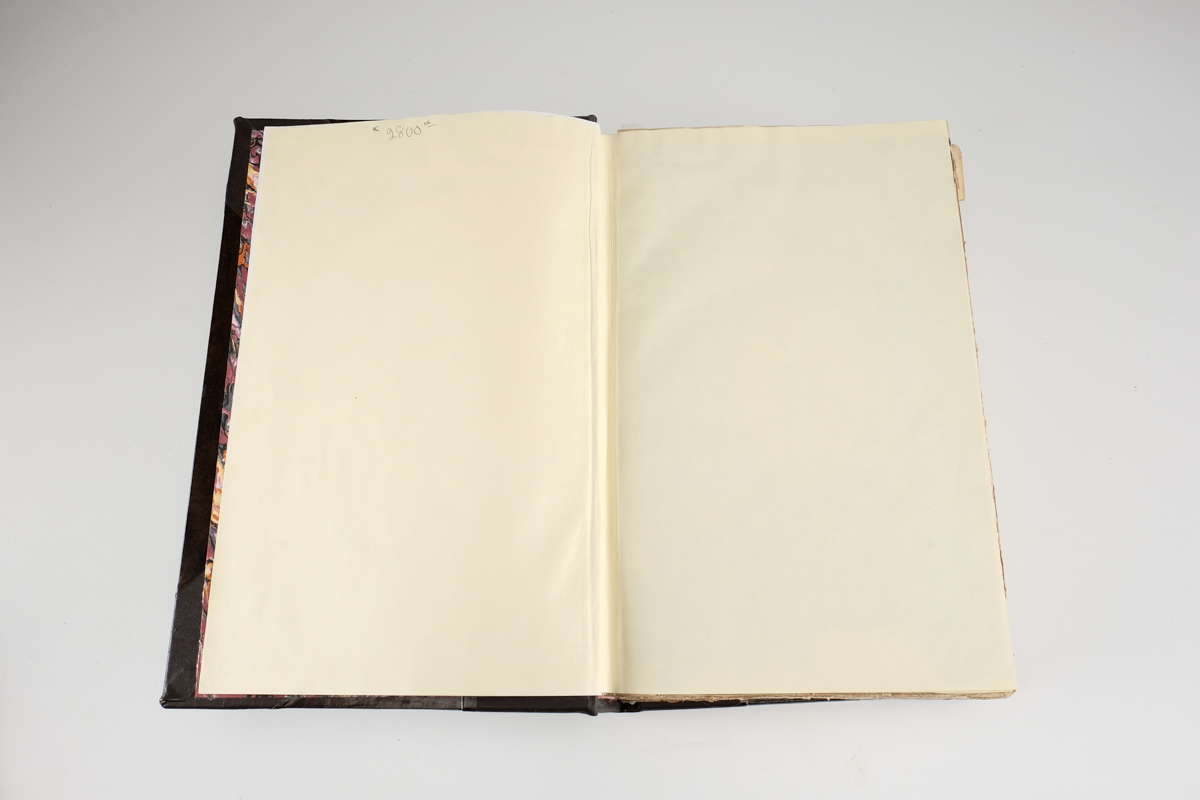 1633 "The Herball or Generall Historie of Plantes" by John Gerard