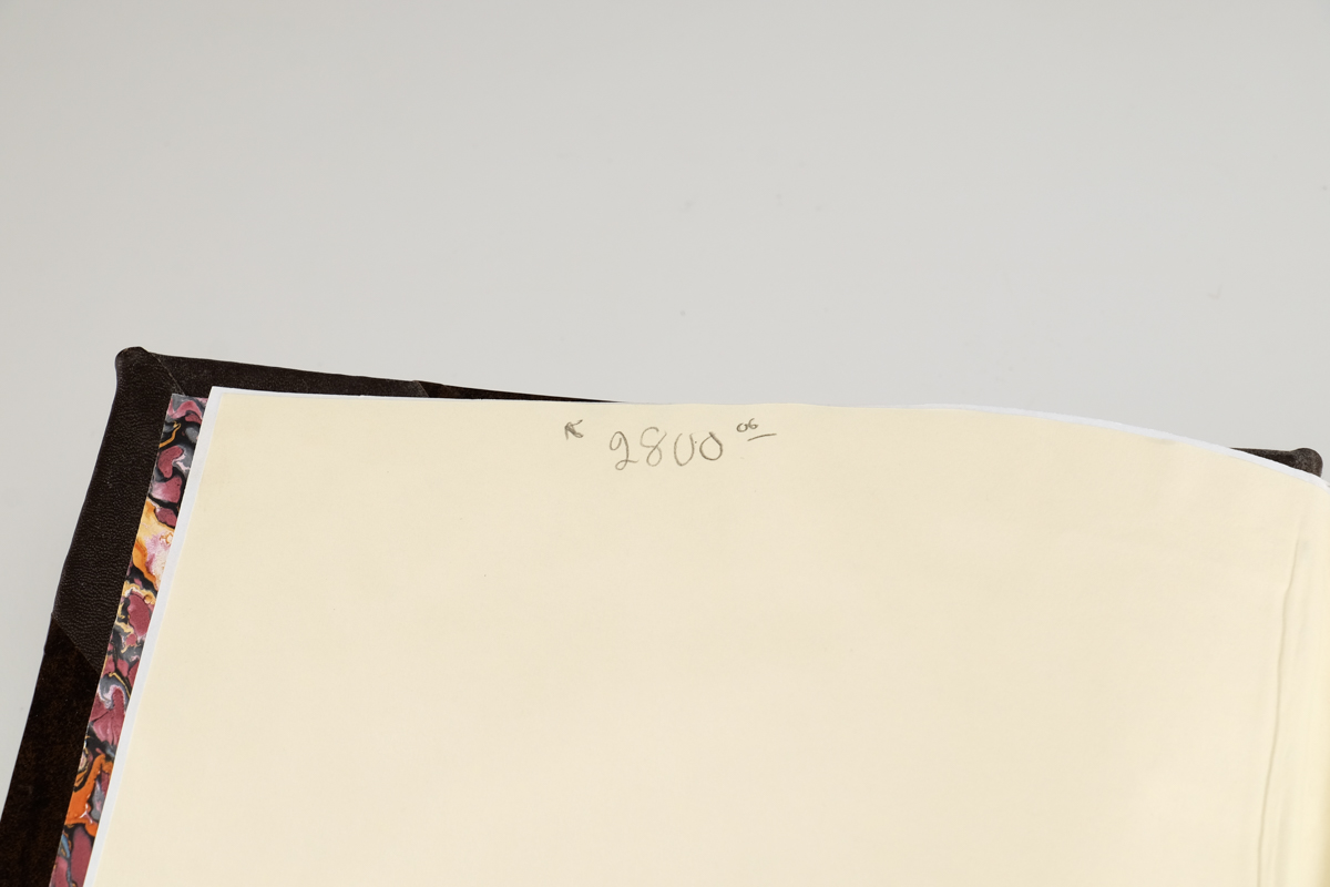 1633 "The Herball or Generall Historie of Plantes" by John Gerard