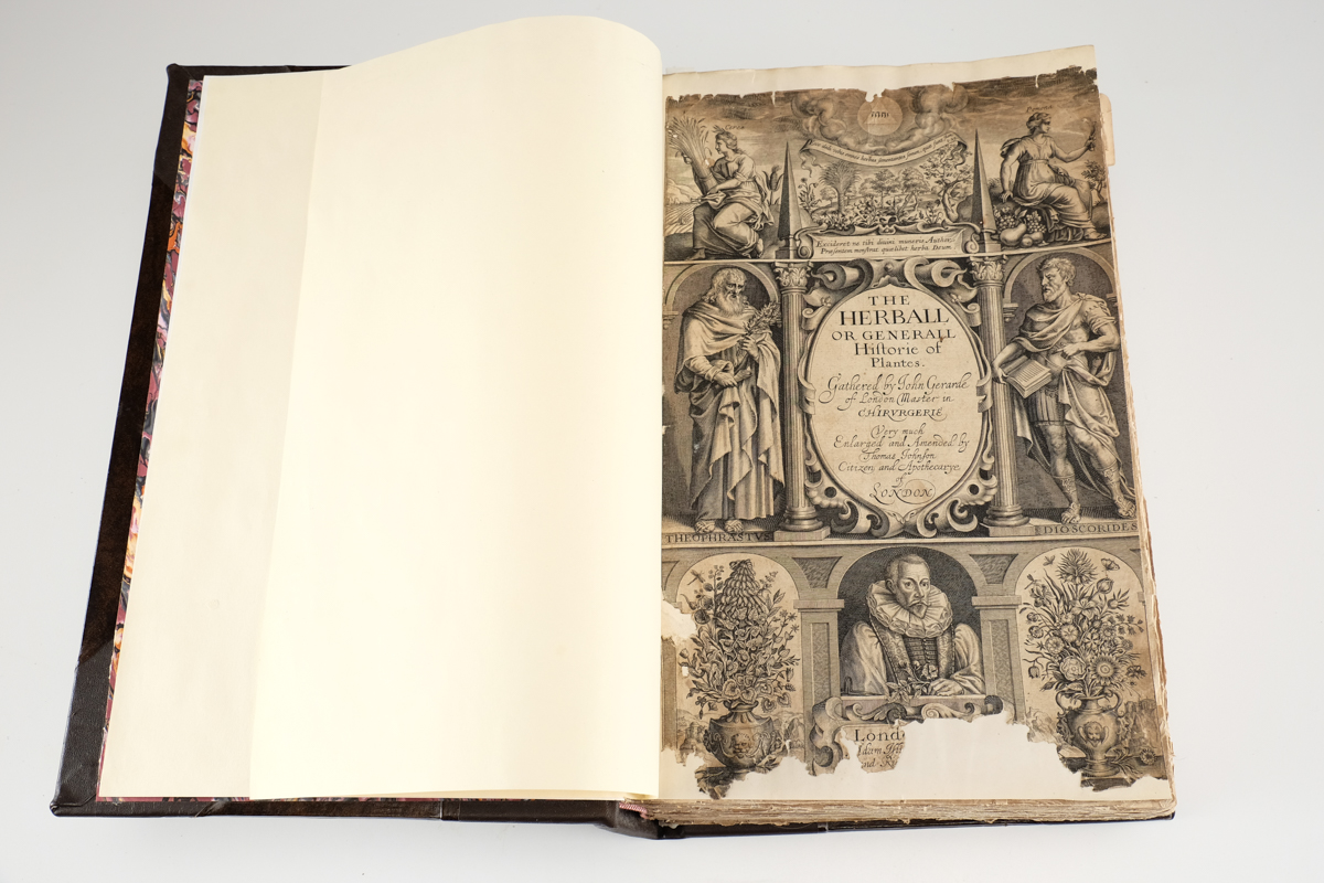 1633 "The Herball or Generall Historie of Plantes" by John Gerard