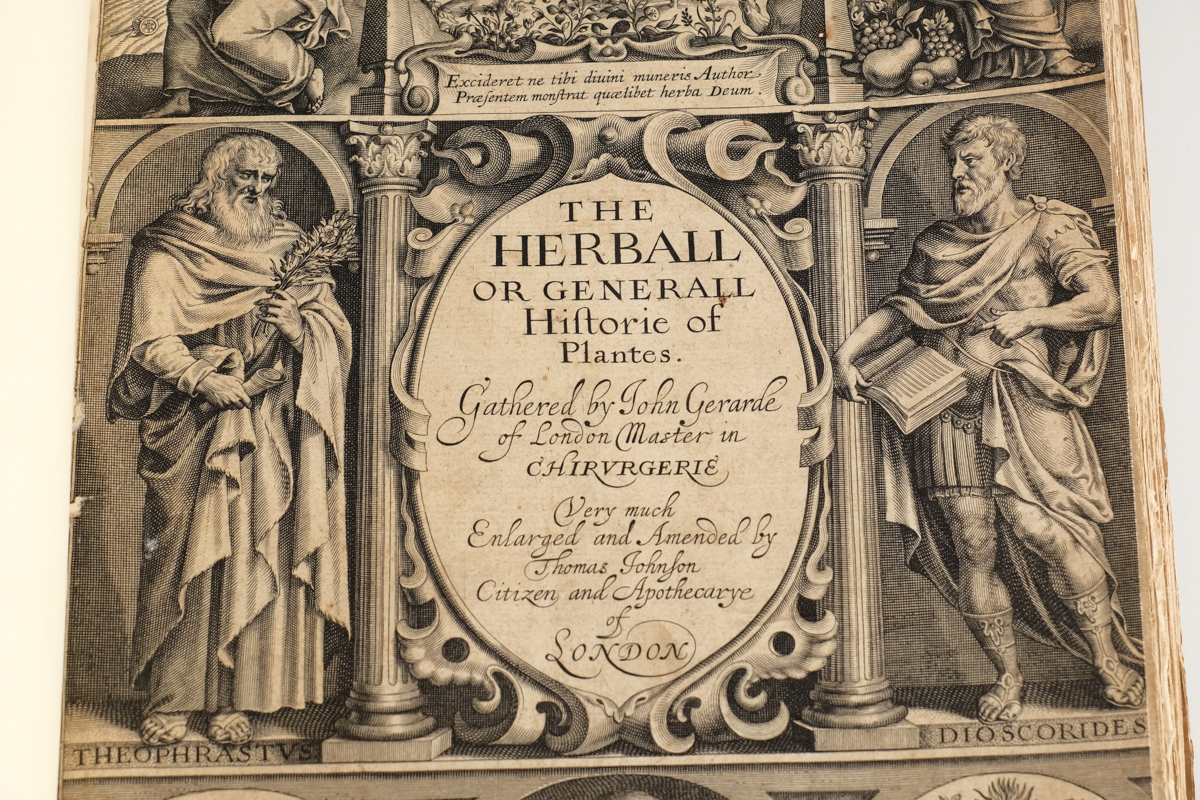 1633 "The Herball or Generall Historie of Plantes" by John Gerard