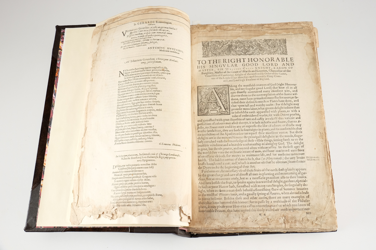 1633 "The Herball or Generall Historie of Plantes" by John Gerard