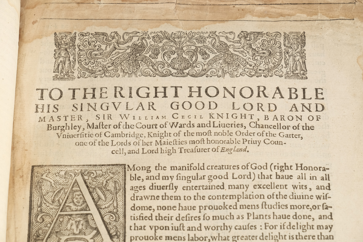 1633 "The Herball or Generall Historie of Plantes" by John Gerard