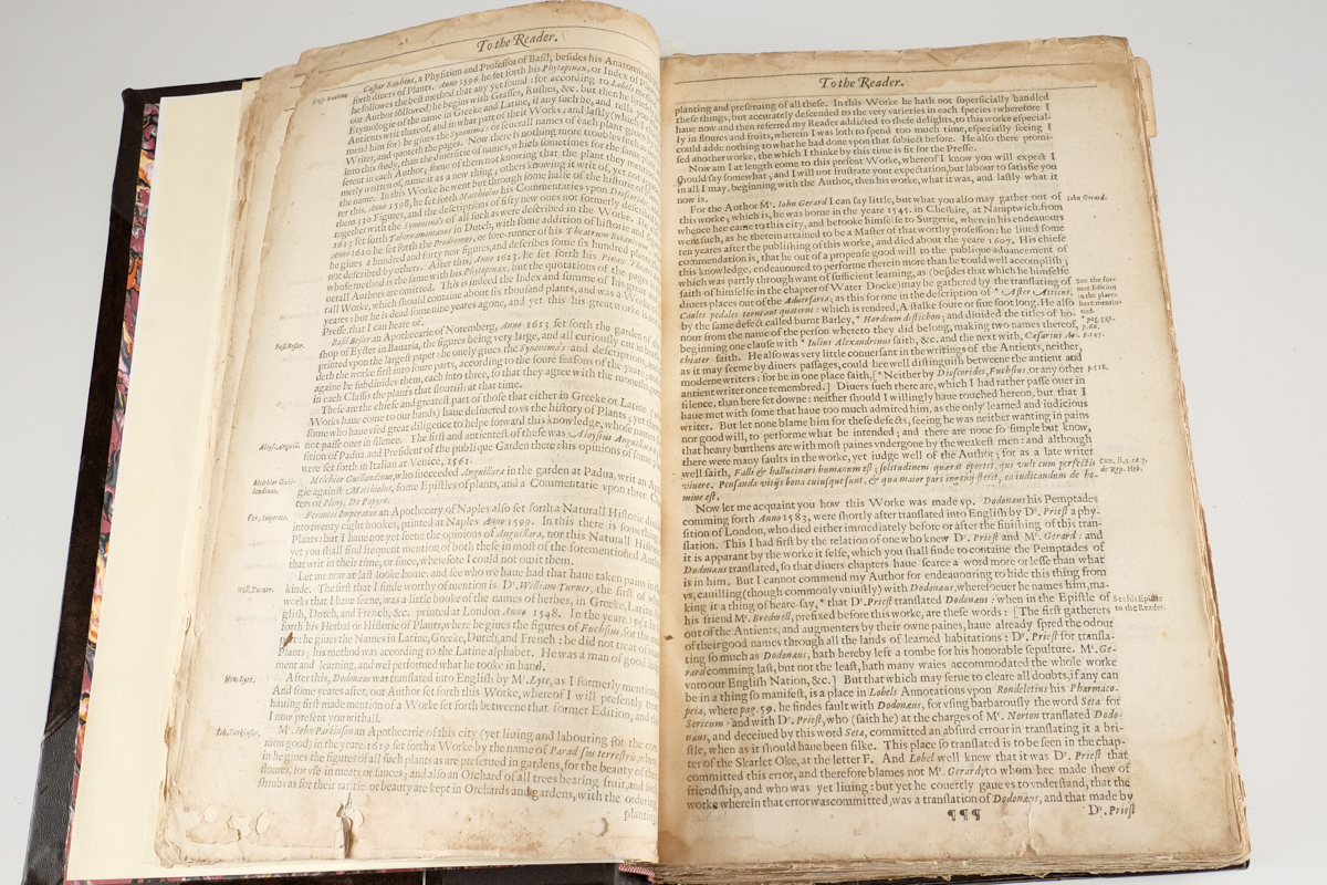 1633 "The Herball or Generall Historie of Plantes" by John Gerard
