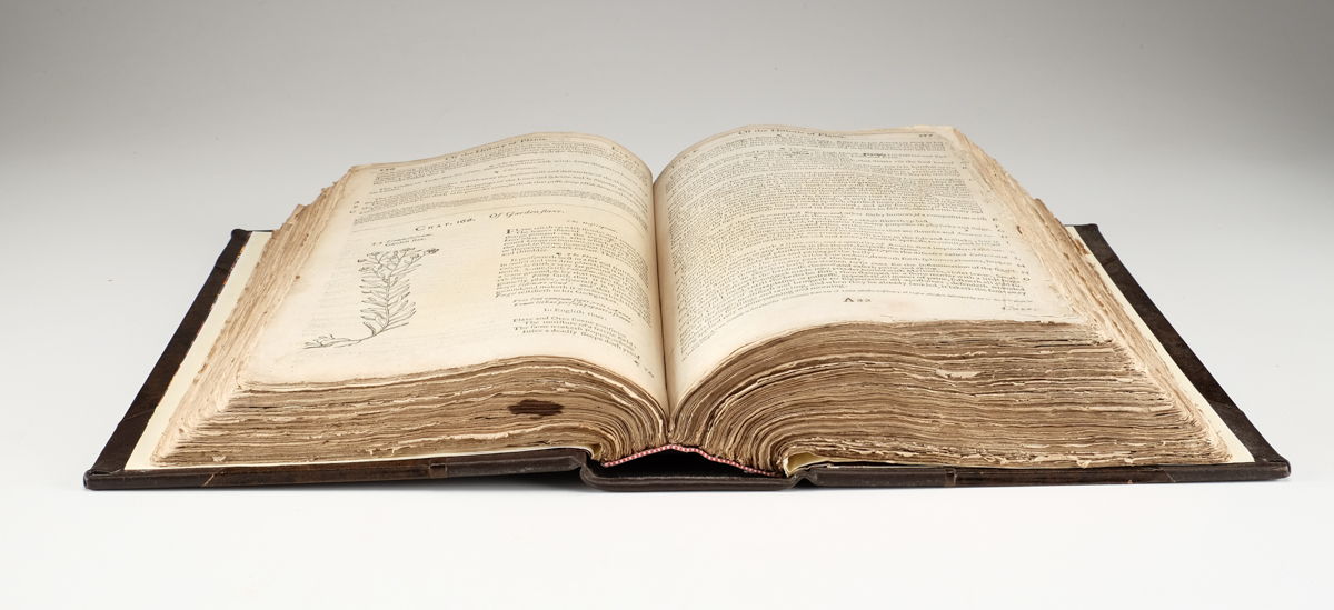 1633 "The Herball or Generall Historie of Plantes" by John Gerard