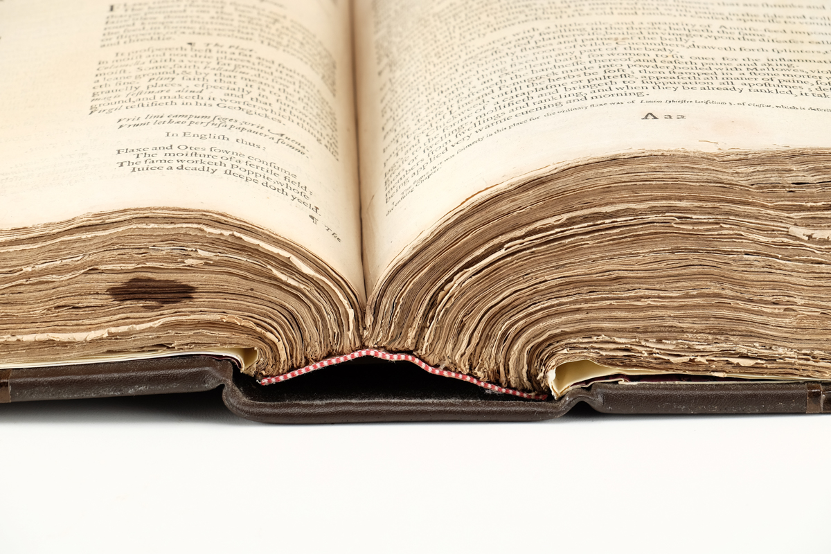 1633 "The Herball or Generall Historie of Plantes" by John Gerard