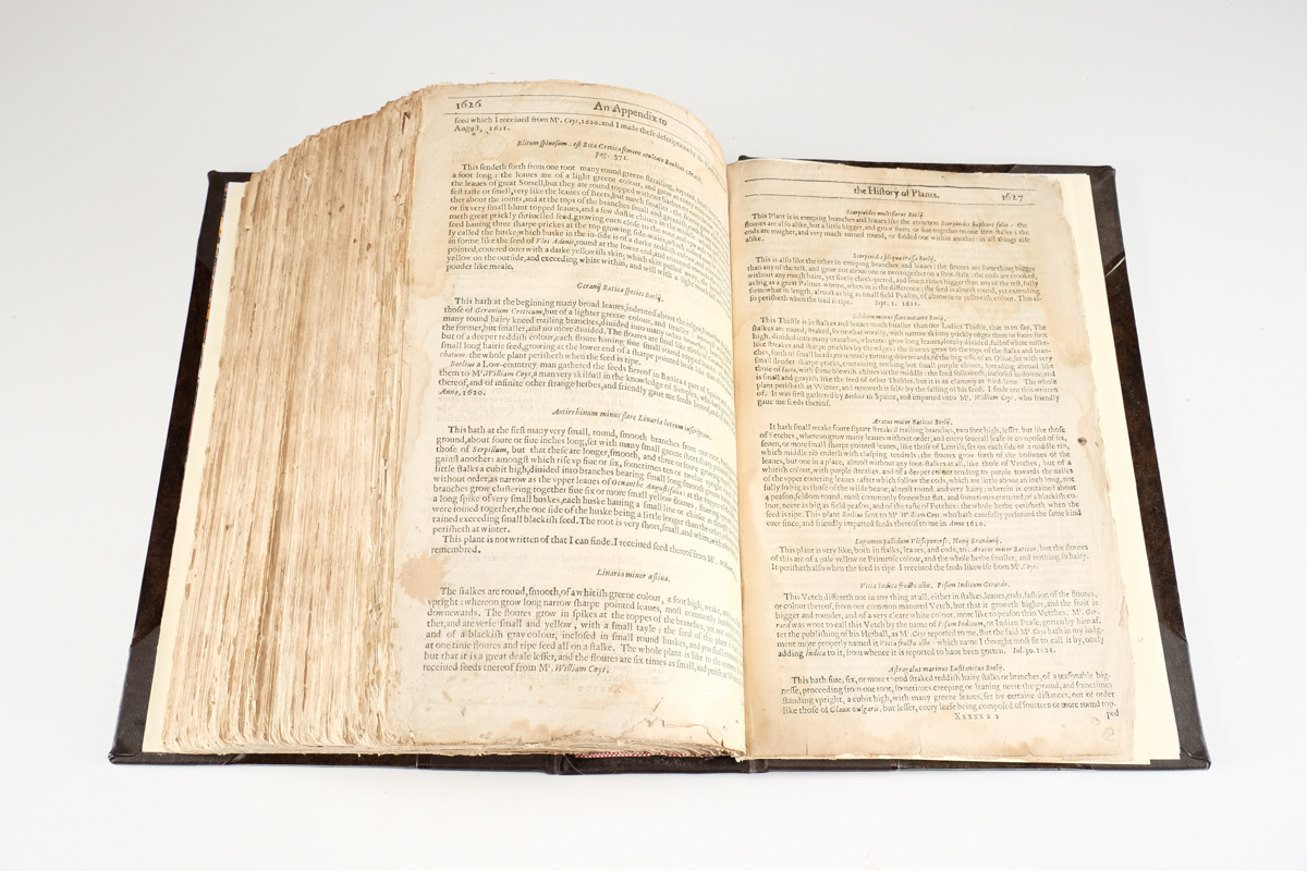 1633 "The Herball or Generall Historie of Plantes" by John Gerard