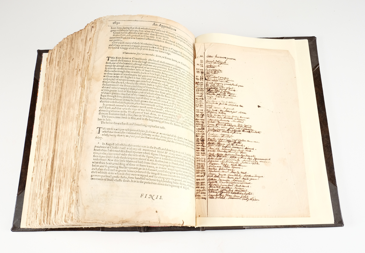 1633 "The Herball or Generall Historie of Plantes" by John Gerard