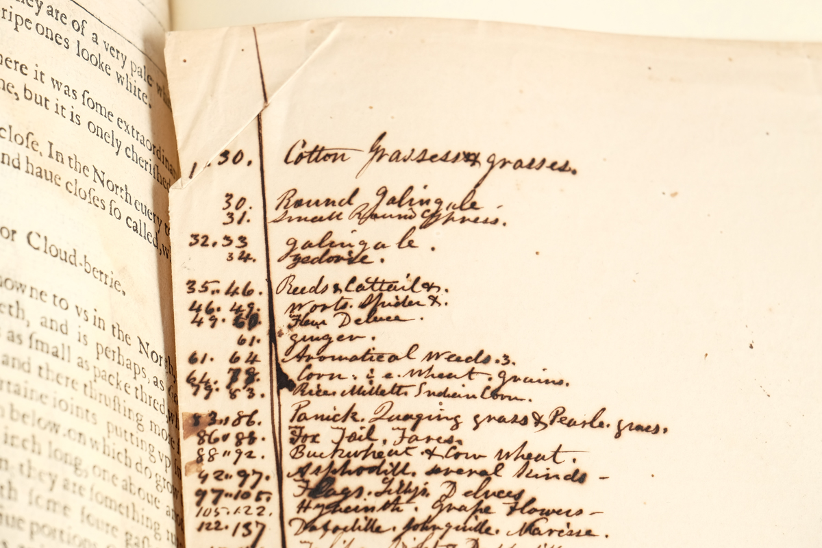 1633 "The Herball or Generall Historie of Plantes" by John Gerard