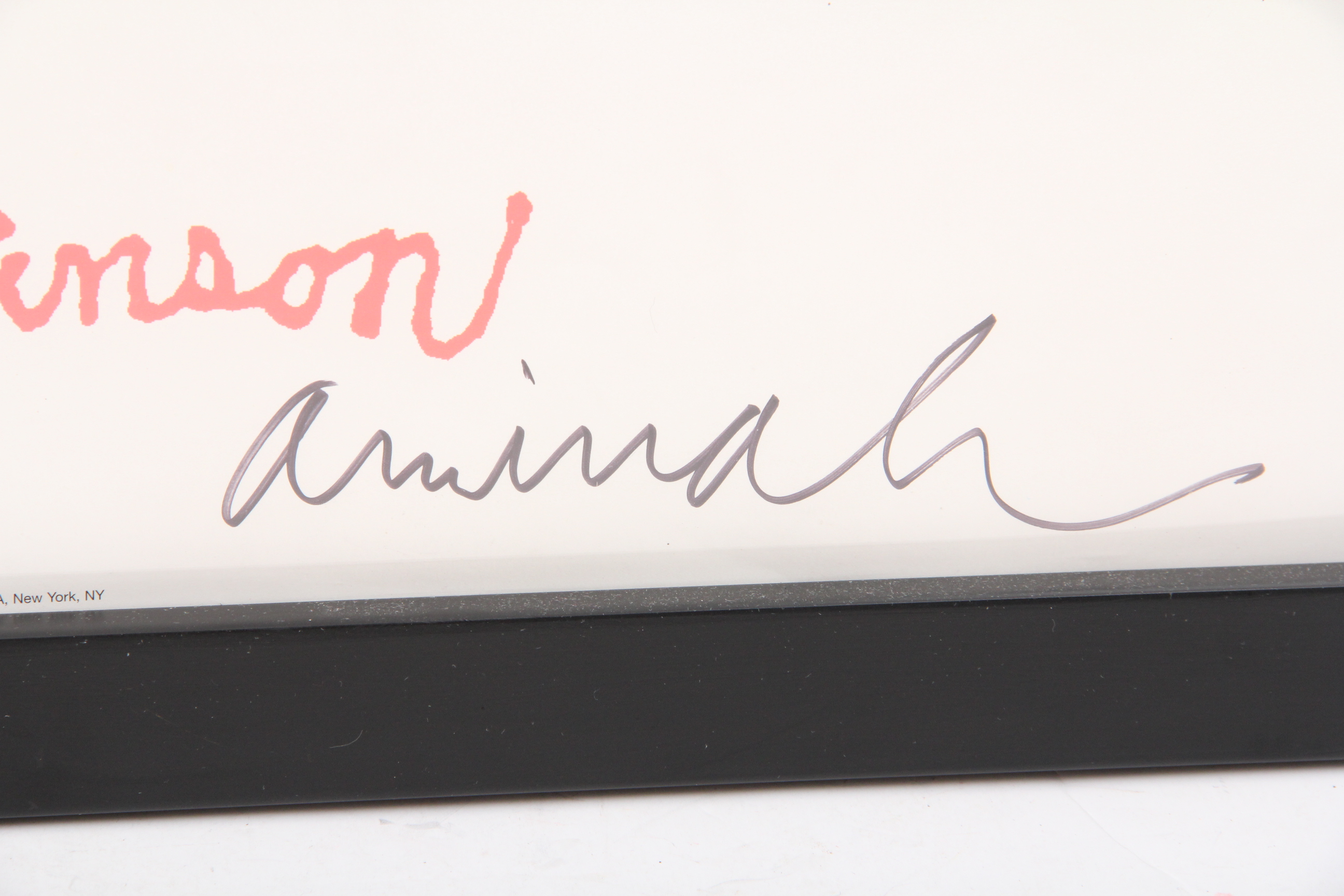 Signed Aminah Robinson Offset Lithograph