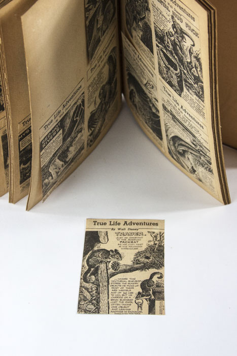 "True Life Adventures" by Walt Disney Scrapbook Collection