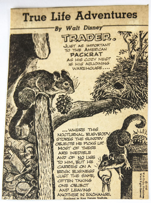 "True Life Adventures" by Walt Disney Scrapbook Collection