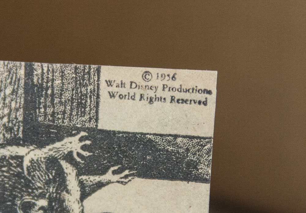 "True Life Adventures" by Walt Disney Scrapbook Collection