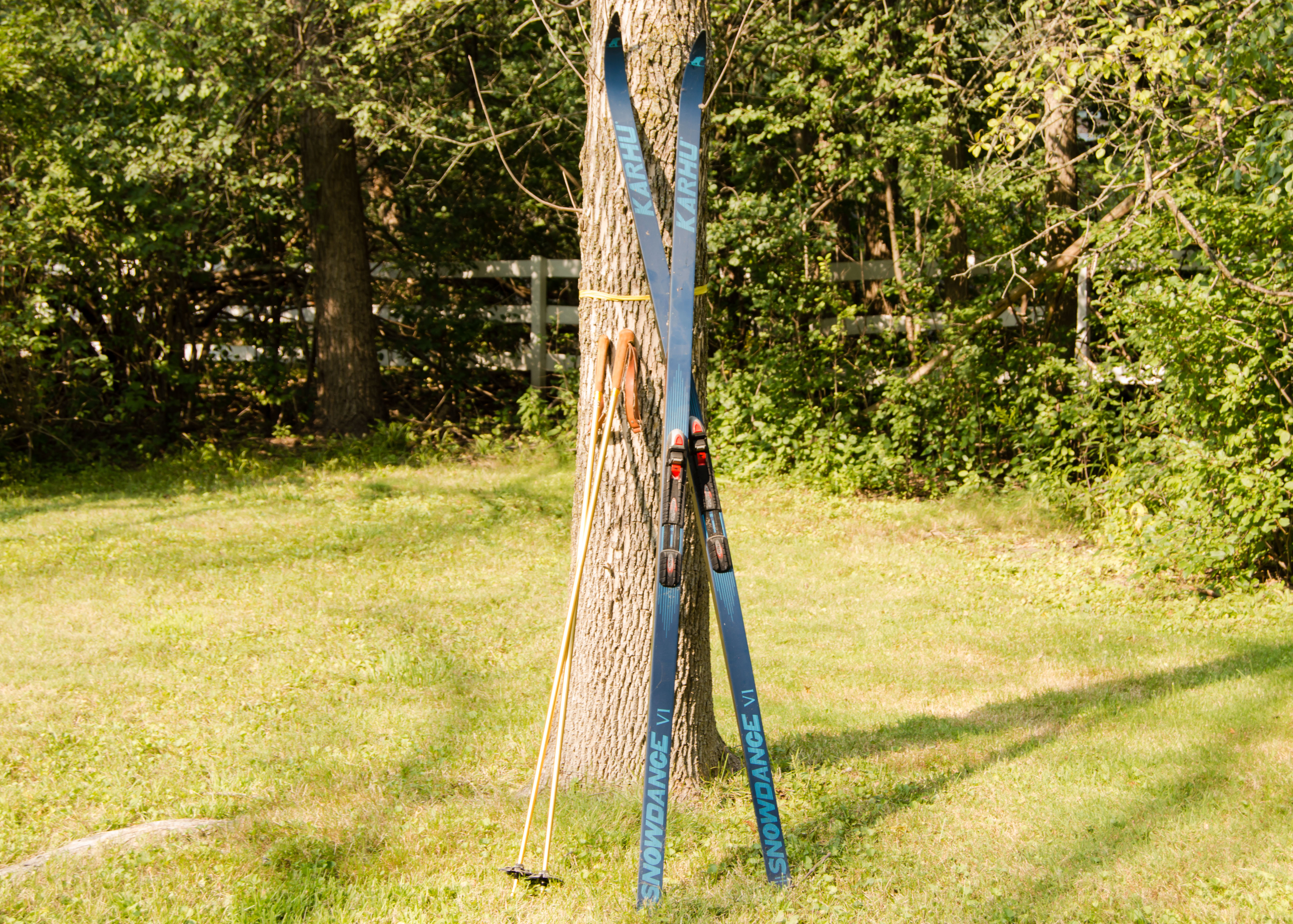 Pair of Cross-Country Skis and Poles