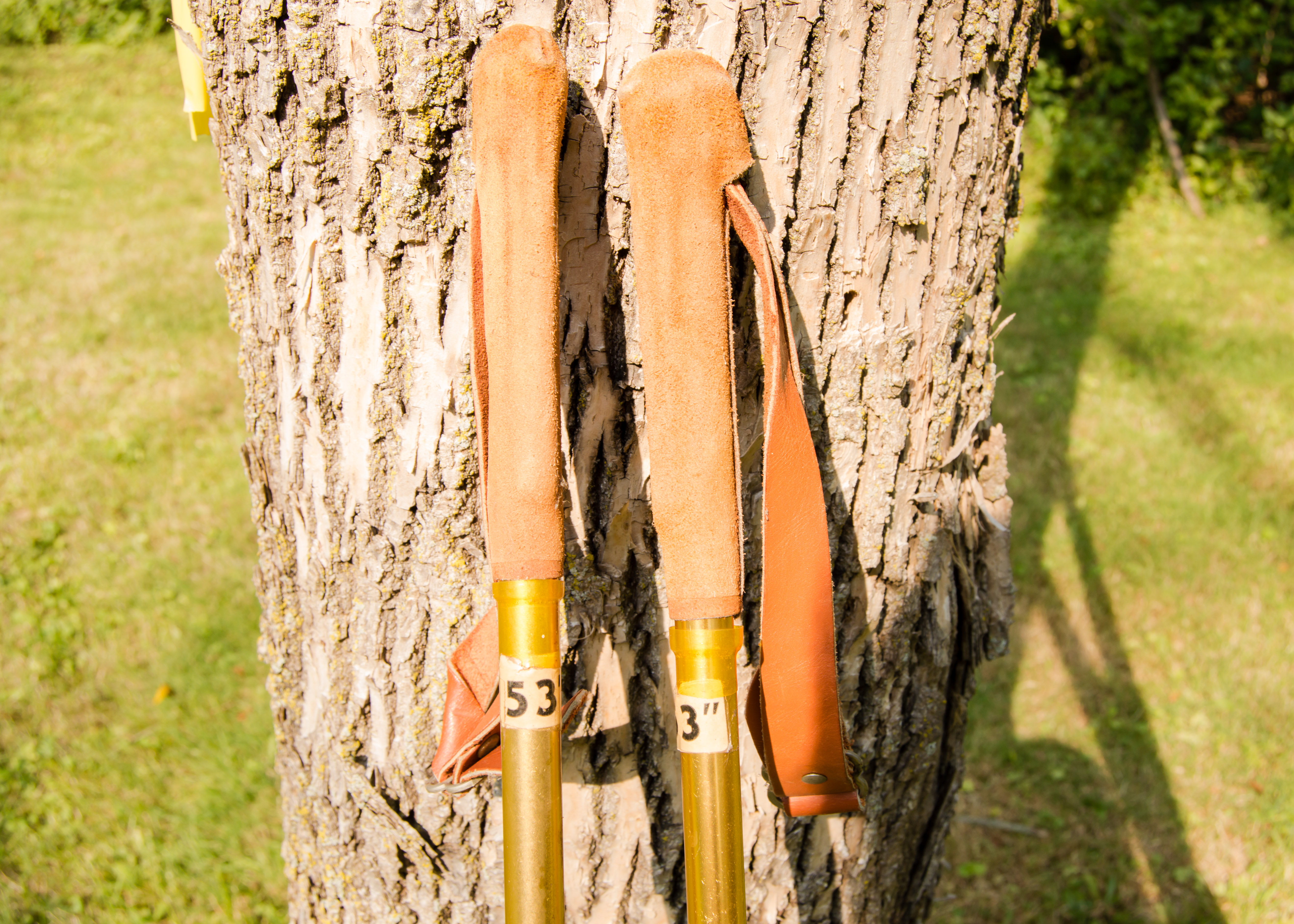 Pair of Cross-Country Skis and Poles