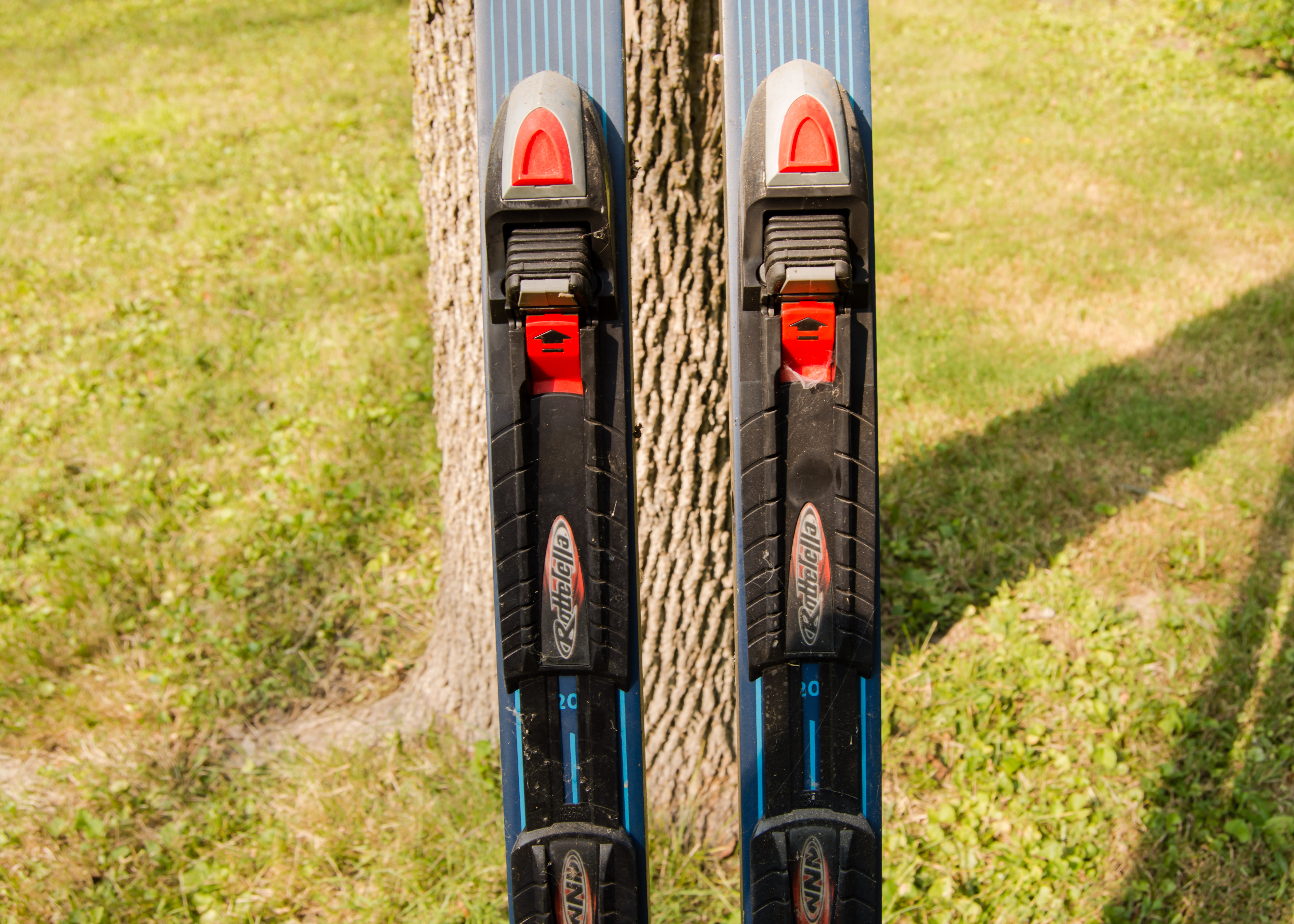 Pair of Cross-Country Skis and Poles