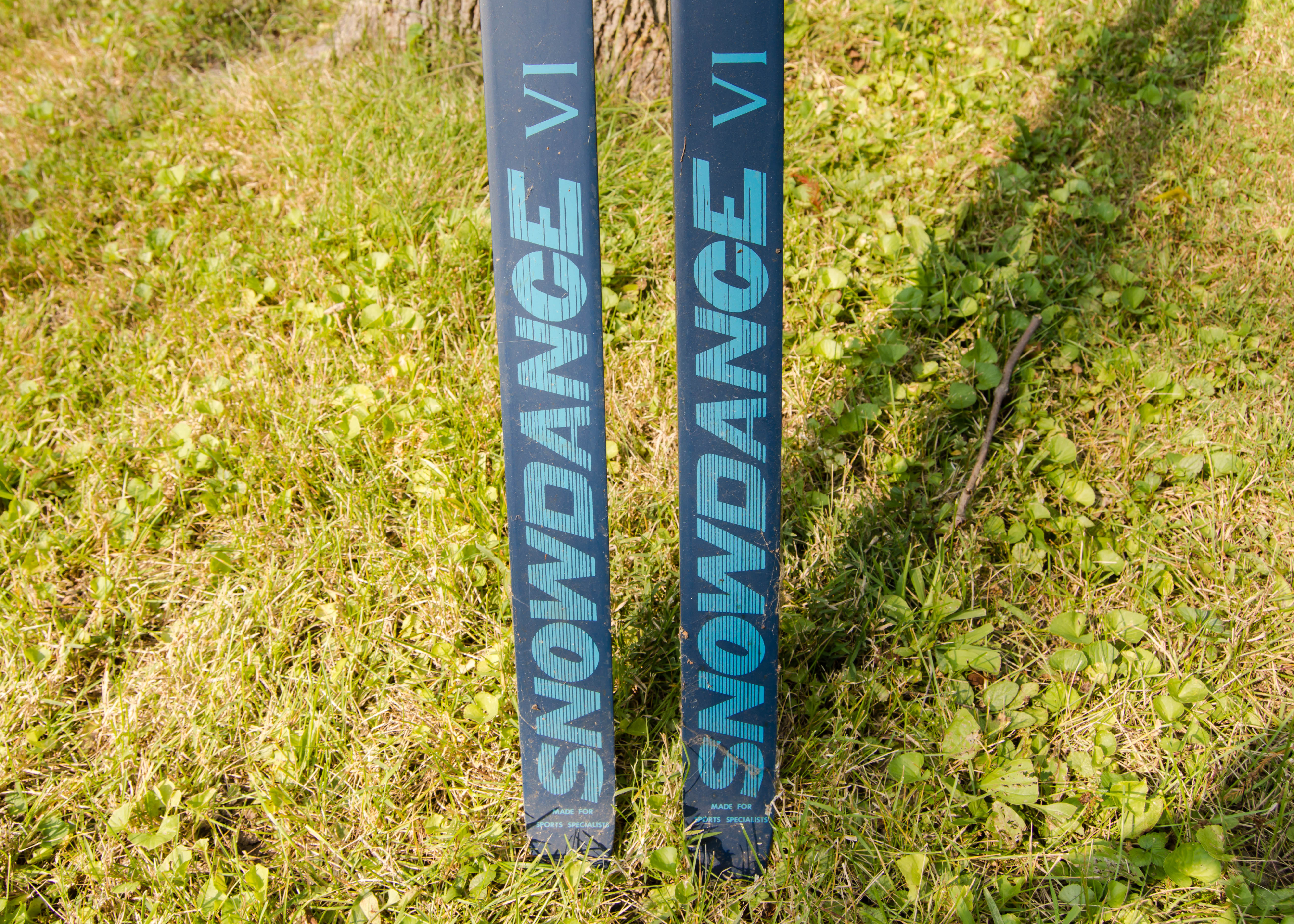 Pair of Cross-Country Skis and Poles