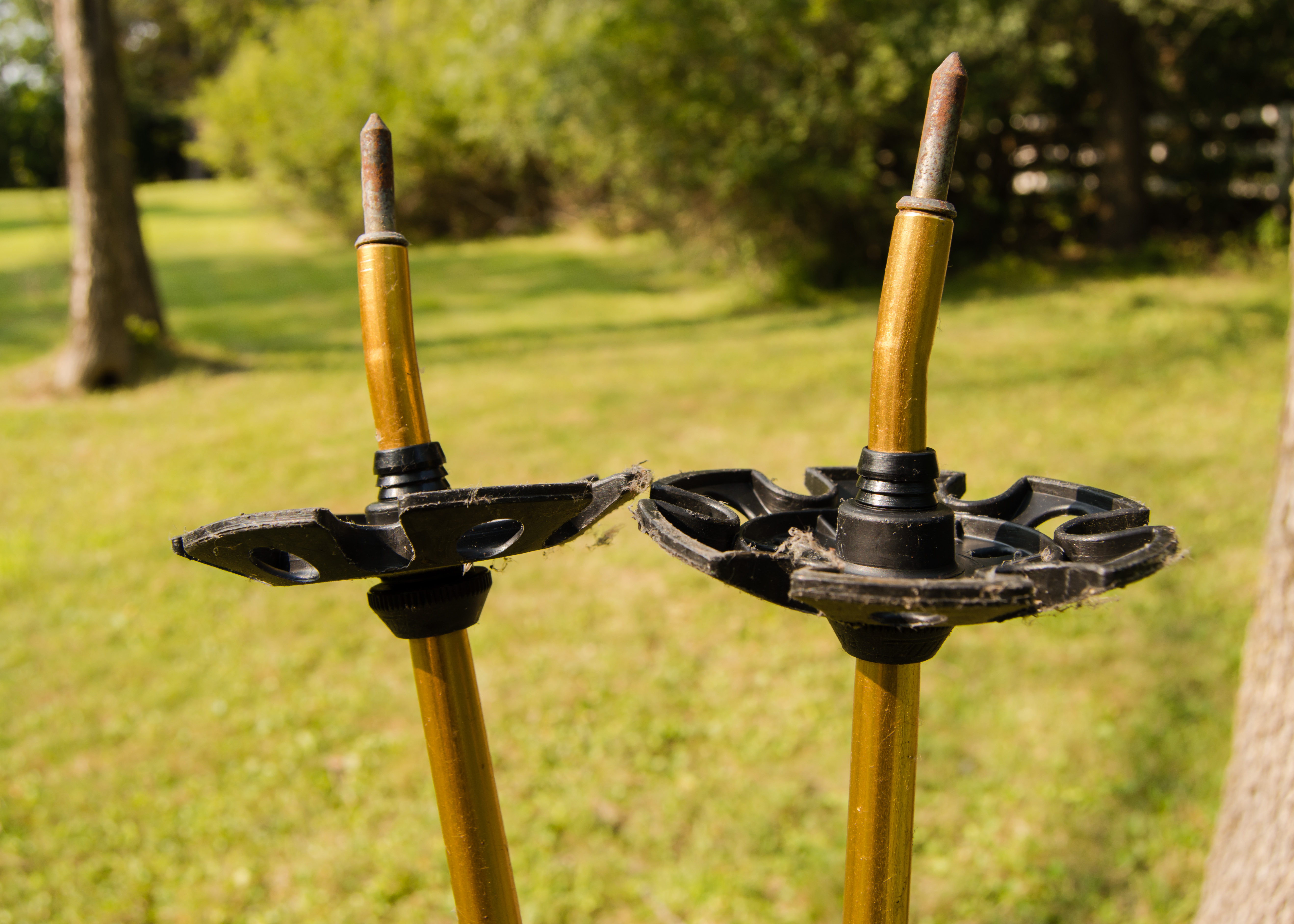 Pair of Cross-Country Skis and Poles