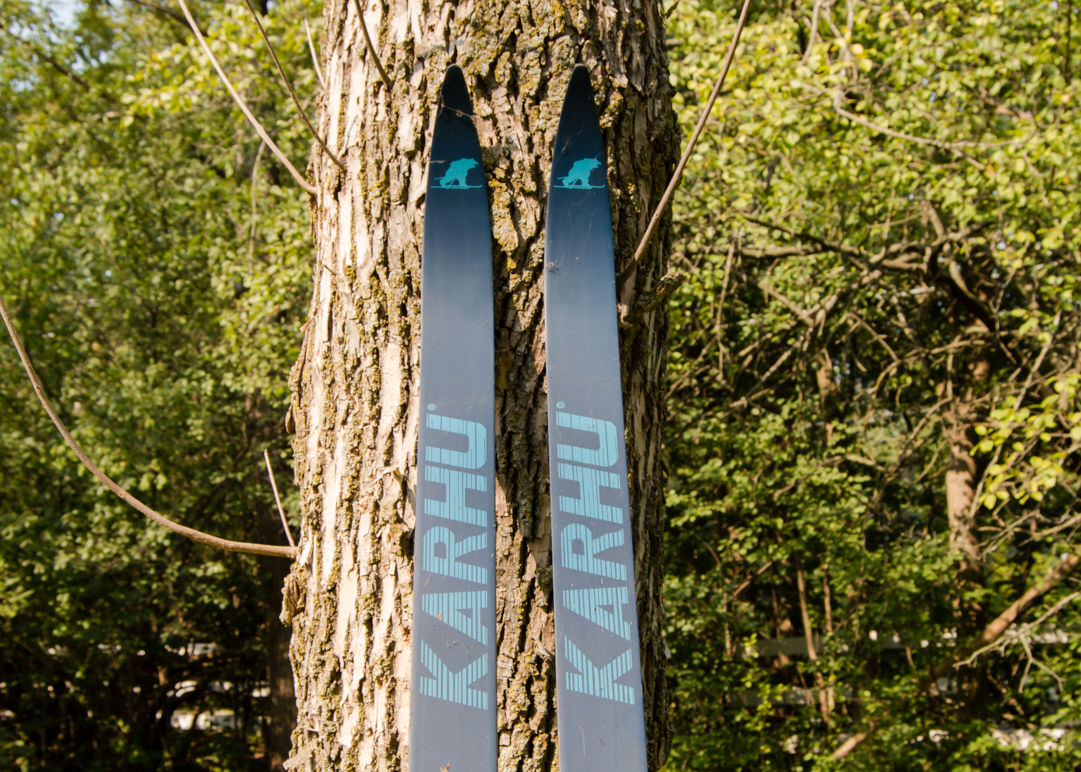 Pair of Cross-Country Skis and Poles
