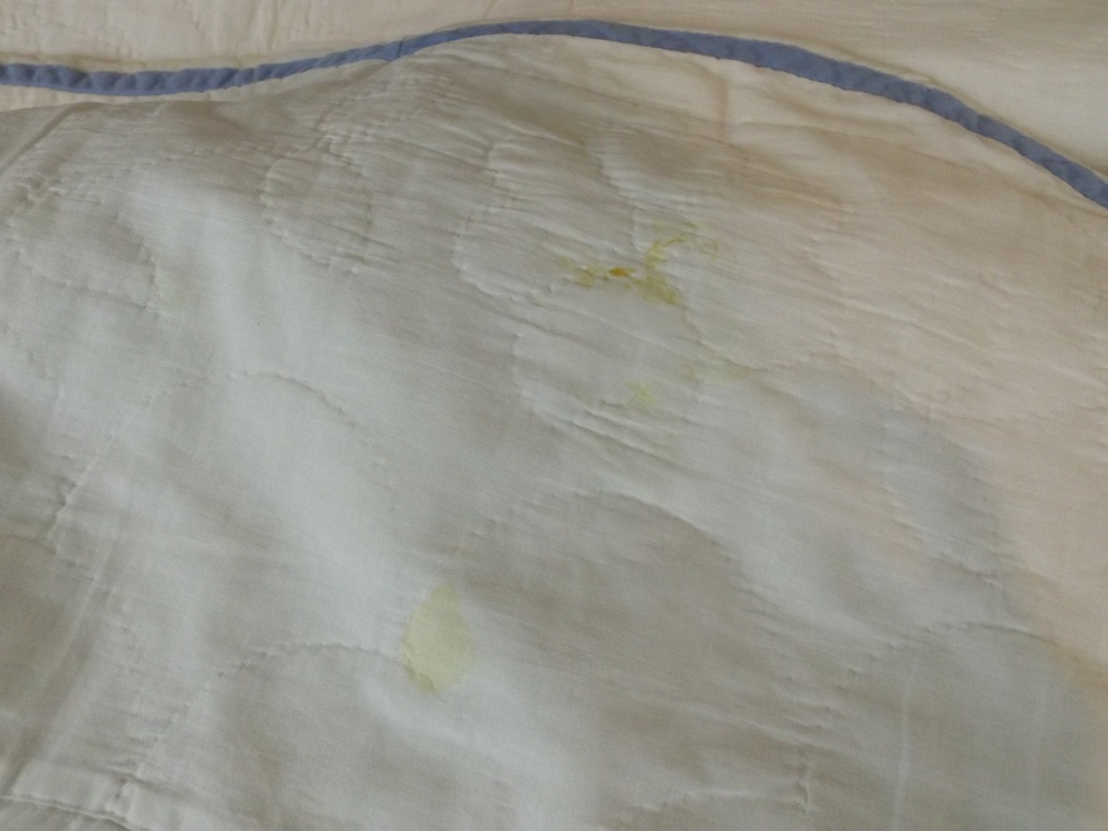 Pair of Vintage Handmade Floral Applique Quilts