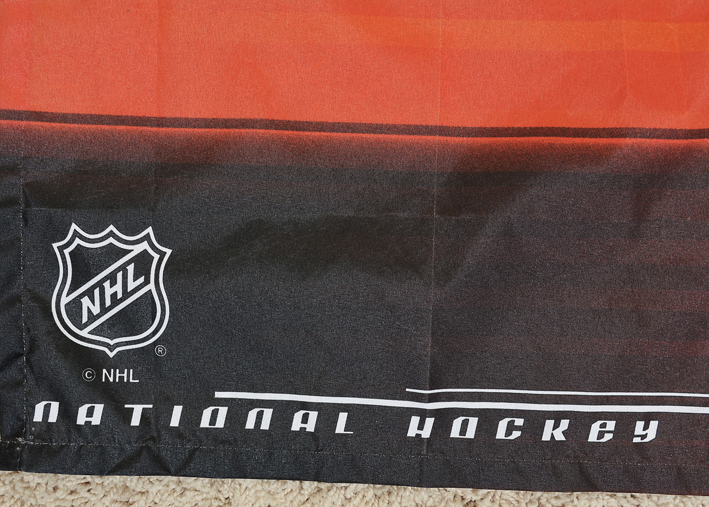 Jeremy Roenick Blackhawks 2010 Stanley Cup Final Jersey and Flag