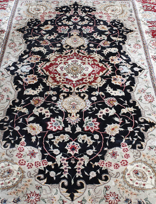 Persian Style Area Rug