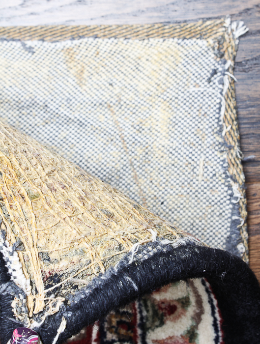 Persian Style Area Rug