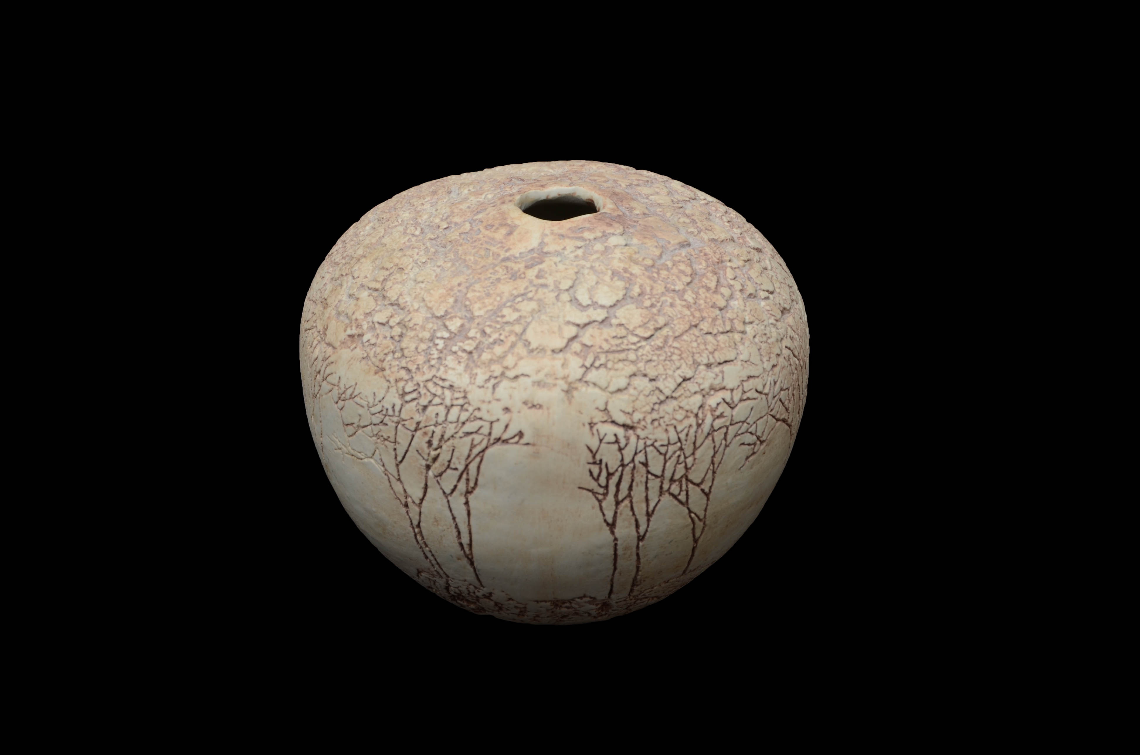 Tenmoku Pottery Collection