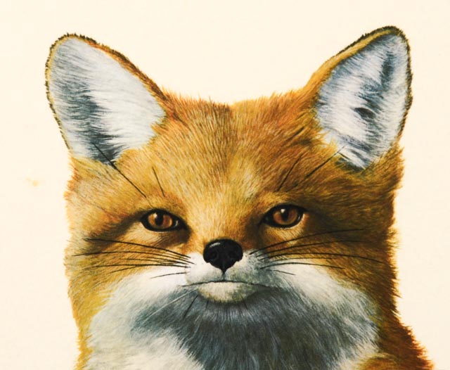 Orginal Ray Harm "Red Fox" Limited Edition Wildlife Print