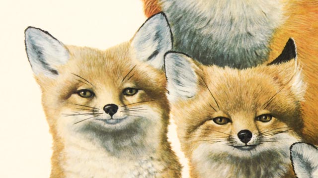 Orginal Ray Harm "Red Fox" Limited Edition Wildlife Print