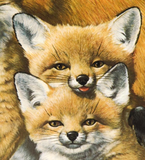 Orginal Ray Harm "Red Fox" Limited Edition Wildlife Print