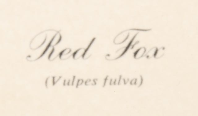 Orginal Ray Harm "Red Fox" Limited Edition Wildlife Print