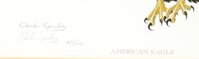 Charles Spaulding "American Eagle" Limited Edition Print