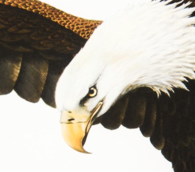 Charles Spaulding "American Eagle" Limited Edition Print