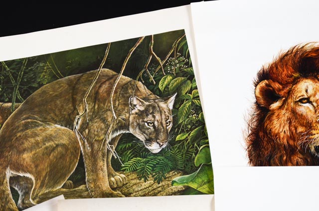 W.D. Gaither Signed/Unsigned Prints